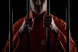 michigan-inmate-search.gif